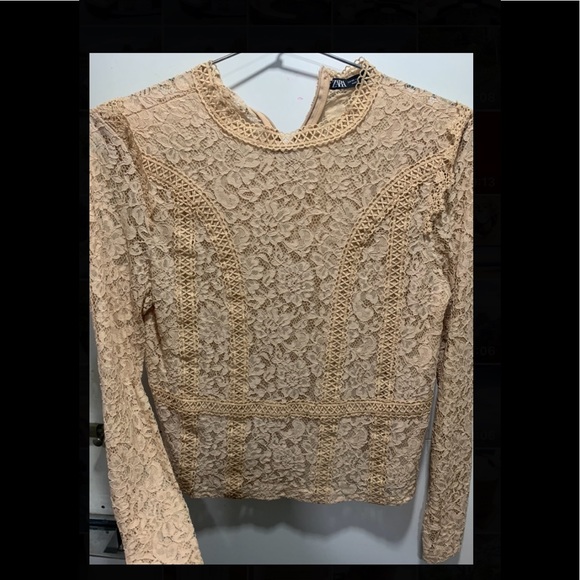 - Zara lace fullsleeve top - Picture 2 of 3